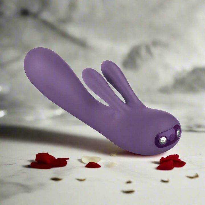 Je Joue Fifi 2