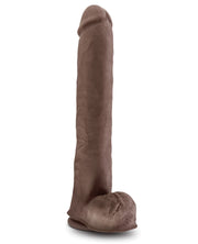 Blush Au Naturel Daddy 14" Sensa Feel Dual Density Dong W-suction Cup - Chocolate